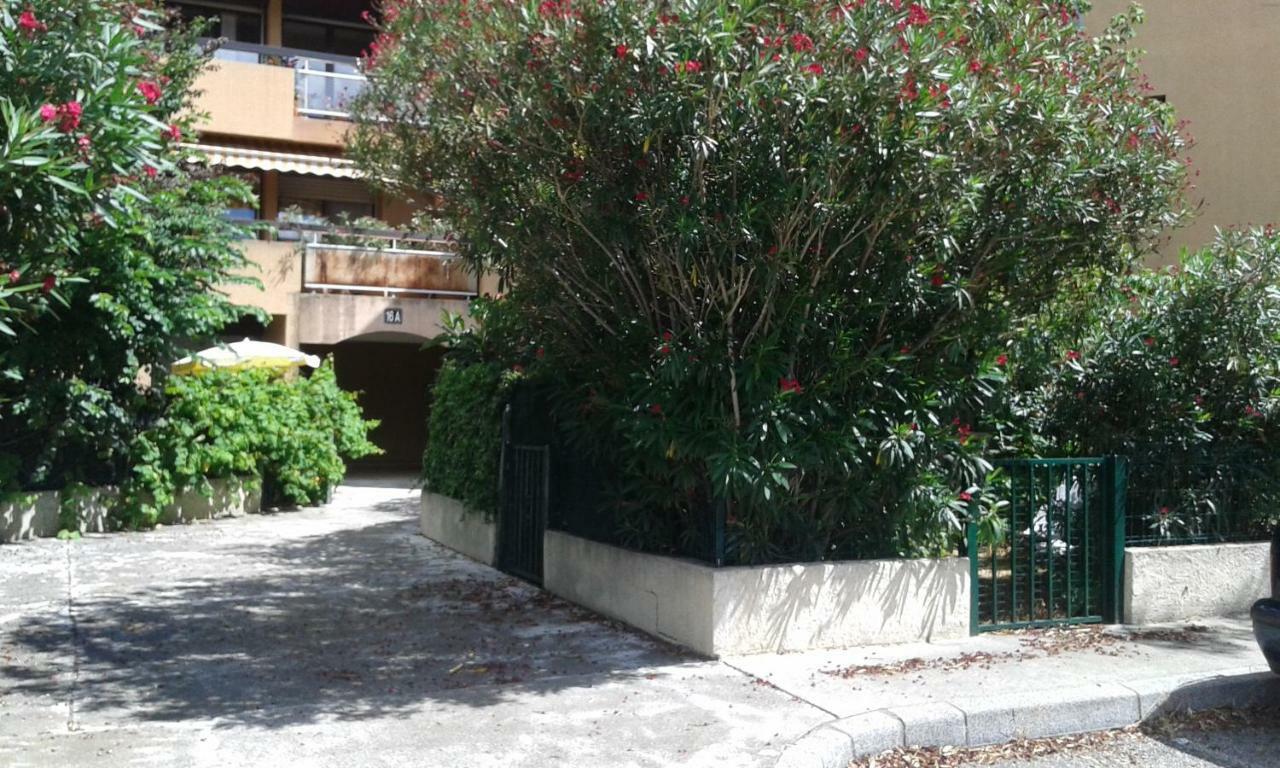 Joli Studio Avec Jardinet Avignon Exterior photo